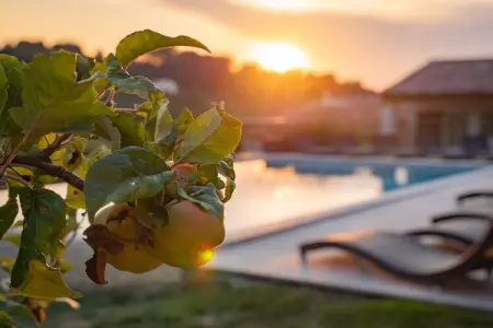 La Colline de Rêve plus 4 gîtes, Villa en Provence avec Piscine Infinie - Photo 46