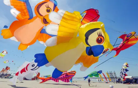 Havre de paix à la campagne, Maison 14 personnes à Lebiez - Photo 26