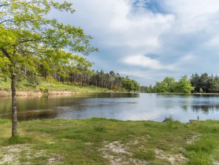 Da Torre, Gite 7 personnes à Braga - Photo 38