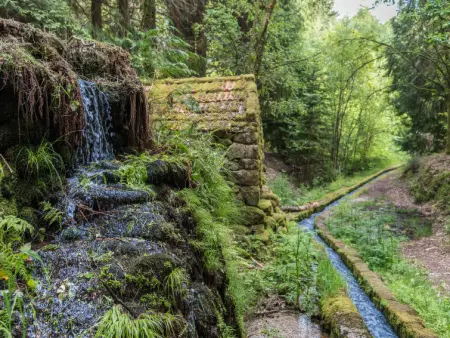 Da Torre, Gite 7 personnes à Braga - Photo 39