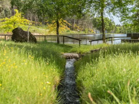 Da Torre, Gite 7 personnes à Braga - Photo 40