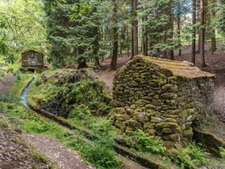 Da Torre, Gite 7 personnes à Braga - Photo 41