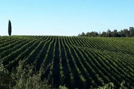 Paulonia, Séjour paisible dans une villa en Toscane - Photo 20