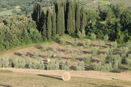 Paulonia, Séjour paisible dans une villa en Toscane - Photo 26