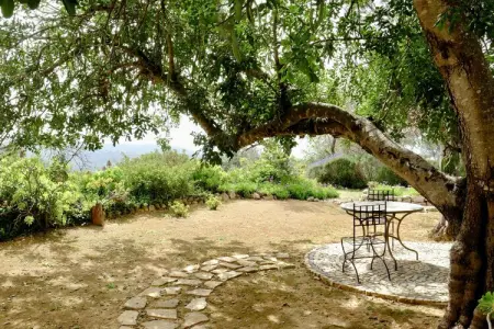 Quinta Amarela, Superbe demeure avec piscine partagée - Photo 5