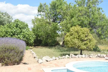 Quinta Amarela, Superbe demeure avec piscine partagée - Photo 34