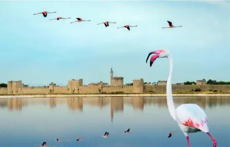 Location Maison 6 personnes à Fontvieille - Photo 27