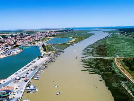 Studio avec vue sur la lagune, parking et animaux admis - Photo 17