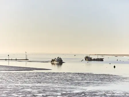 Studio avec vue sur la lagune, parking et animaux admis - Photo 19