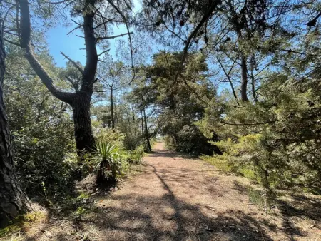 Maisonnette à Barbâtre, proche plage, animaux admis, 2-4 pers. - Photo 8