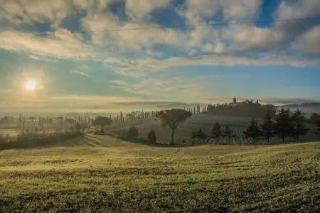 Tilla, Ferme à Buonconvento - Photo 27
