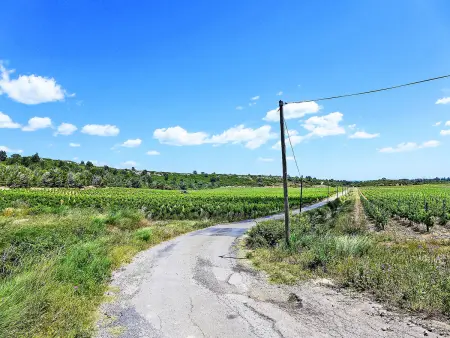 Les Vendanges, Gite 6 personnes à Narbonne Plage - Photo 22