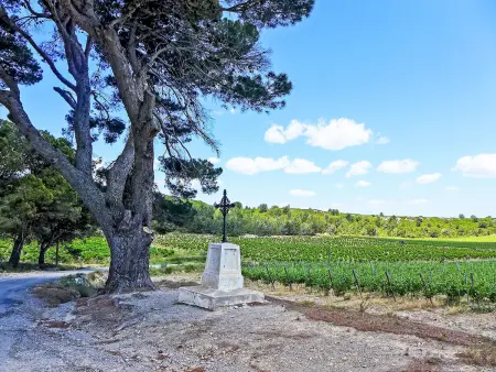 Les Vendanges, Gite 6 personnes à Narbonne Plage - Photo 24