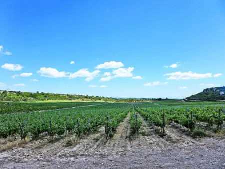 Les Vendanges, Gite 6 personnes à Narbonne Plage - Photo 25