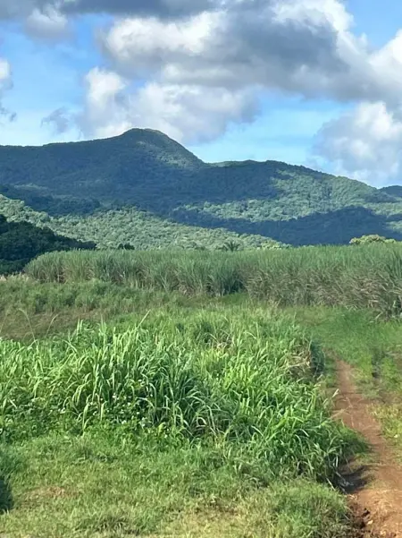 Maison cosy à Lamentin, 20m², climatisation, Maison 2 personnes à Lamentin - Photo 18