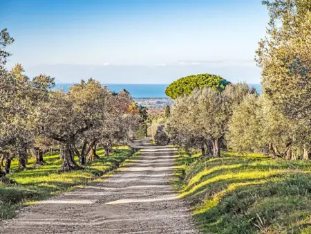 Tramonto, Maison 10 personnes à Guardistallo - Photo 46