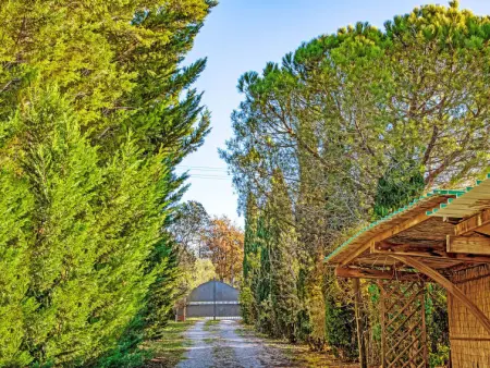 Tramonto, Maison 10 personnes à Guardistallo - Photo 47