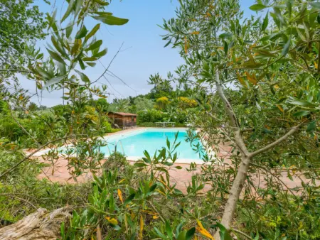 Tramonto, Maison 10 personnes à Guardistallo - Photo 79