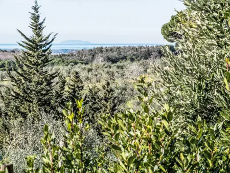 Tramontina, Maison 3 personnes à Guardistallo - Photo 23