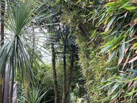 Villa d'exception avec terrasses spacieuses à Cap-Ferret - Photo 25