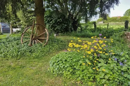 Gîte d'Artisan, Maison à Pionsat près du Parc Volcanique - Photo 18