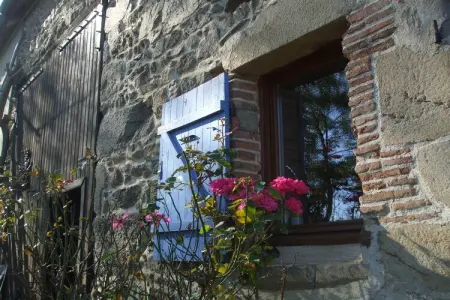 Gîte d'Artisan, Maison à Pionsat près du Parc Volcanique - Photo 28