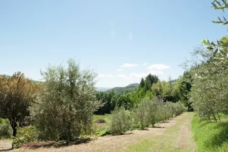 Villa Stia, Villa à Casentino avec piscine et vue sur château - Photo 11