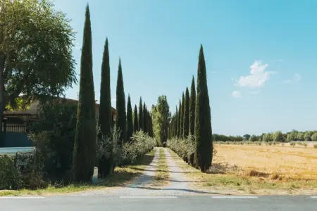 Pino, Maison de vacances à Cortona avec piscine - Photo 5