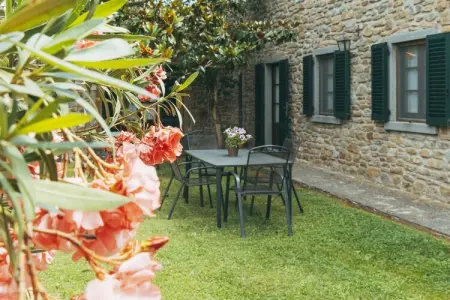 Pino, Maison de vacances à Cortona avec piscine - Photo 22