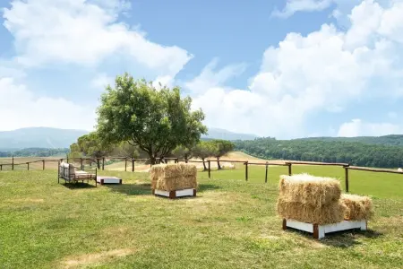 Oliveta, Appartement à Collesalvetti près de Pise - Photo 29