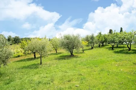 Oliveta, Appartement à Collesalvetti près de Pise - Photo 30