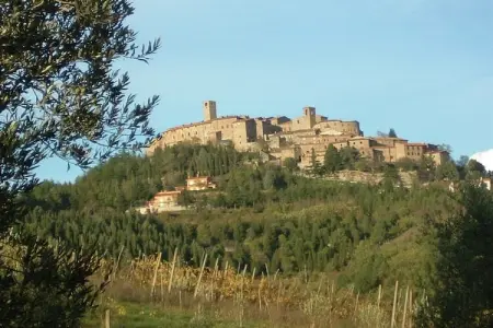 La Terrazza, Ferme en Ombrie près du Palazzo Bourbon - Photo 31