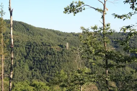 La Terrazza, Ferme en Ombrie près du Palazzo Bourbon - Photo 37