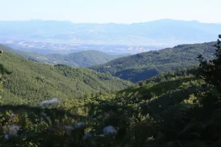 La Terrazza, Ferme en Ombrie près du Palazzo Bourbon - Photo 39