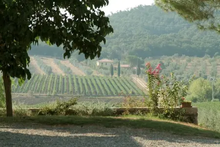 Il Giardiniere, Ferme à Umbertide proche du golf - Photo 25