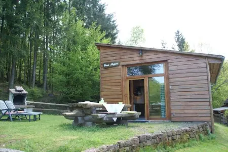 Mon Repos, Maison à Walscheid près forêt et lacs - Photo 25