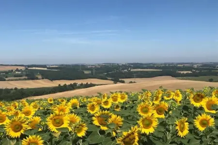 Le Chêne-Liège, Maison de Vacances Dunes Piscine - Photo 27