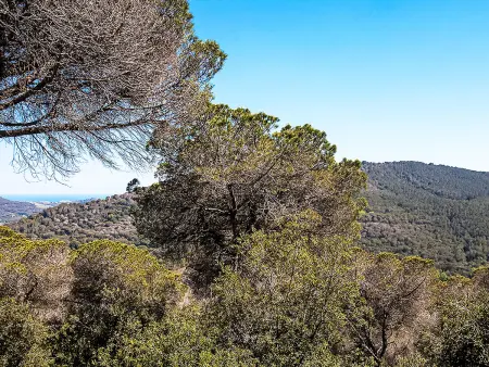 Ginesteres, Maison 6 personnes à Argentona - Photo 27