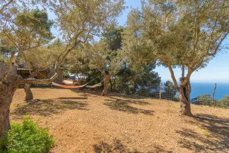 Son Galceran Petit, Finca 5StarsHome Mallorca, Maison 4 personnes à Valldemossa - Photo 19