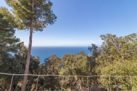 Son Galceran Petit, Finca 5StarsHome Mallorca, Maison 4 personnes à Valldemossa - Photo 30