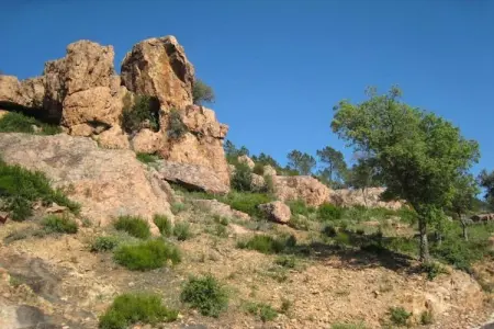Villa Le Saint Tropez, Maison 8 personnes à La Garde Freinet - Photo 25