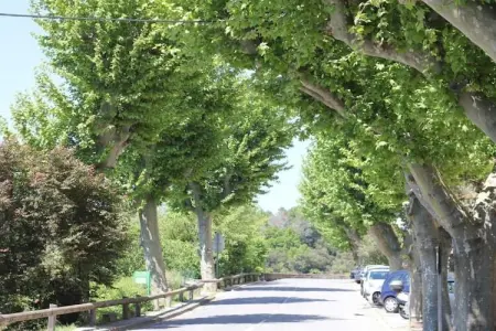 Villa Le Saint Tropez, Maison 8 personnes à La Garde Freinet - Photo 26