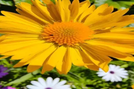 Villa Le Saint Tropez, Maison 8 personnes à La Garde Freinet - Photo 27