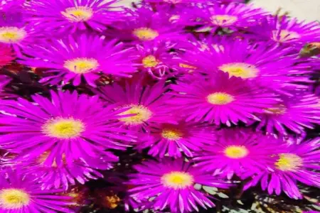 Villa Le Saint Tropez, Maison 8 personnes à La Garde Freinet - Photo 29