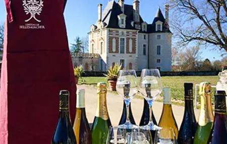 Gite proche de Beauval, Maison 4 personnes à Thésée - Photo 16