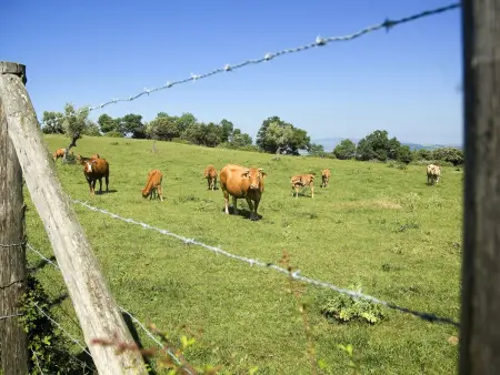 Borgo Cerbaiola, Gite 4 personnes à Pomarance - Photo 45
