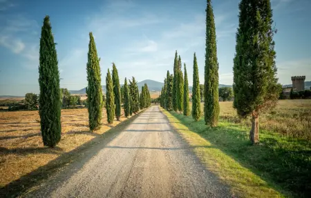 Location Maison 8 personnes à Pienza - Photo 31
