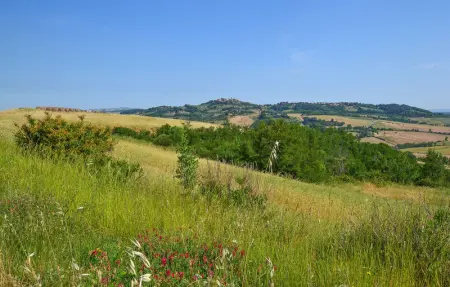 Location Maison 8 personnes à Pienza - Photo 33