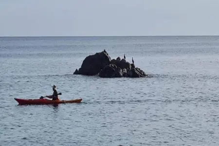 Can Benet Est., Appartement 2 personnes à Calella de Palafrugell, Llafranc - Photo 37