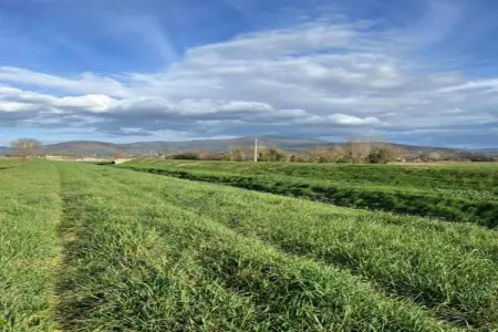 Orchidea, Agriturismo Toscane avec Piscine Vue - Photo 26